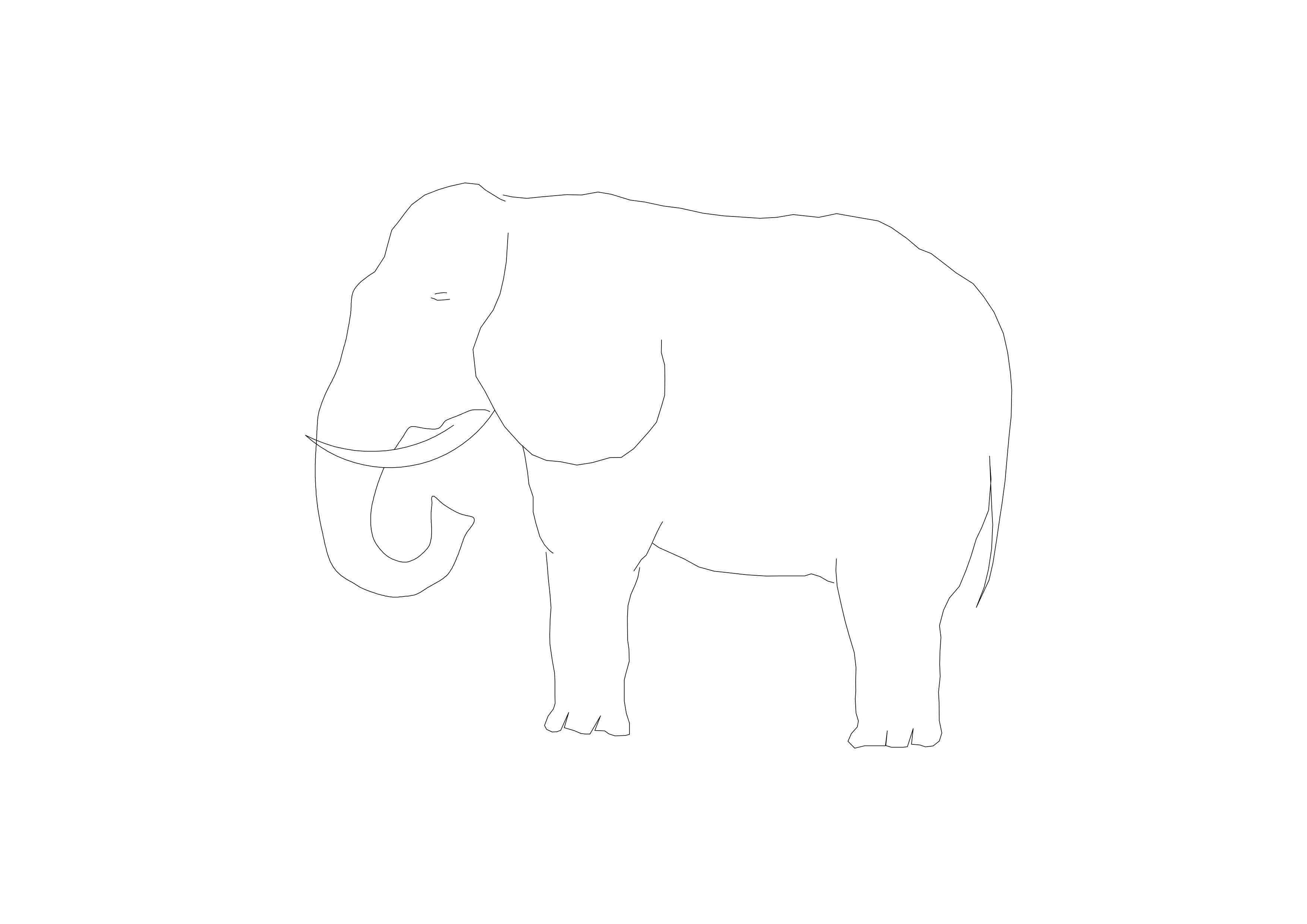 Free Elephant CAD Block – DWG, DXF, PDF Format