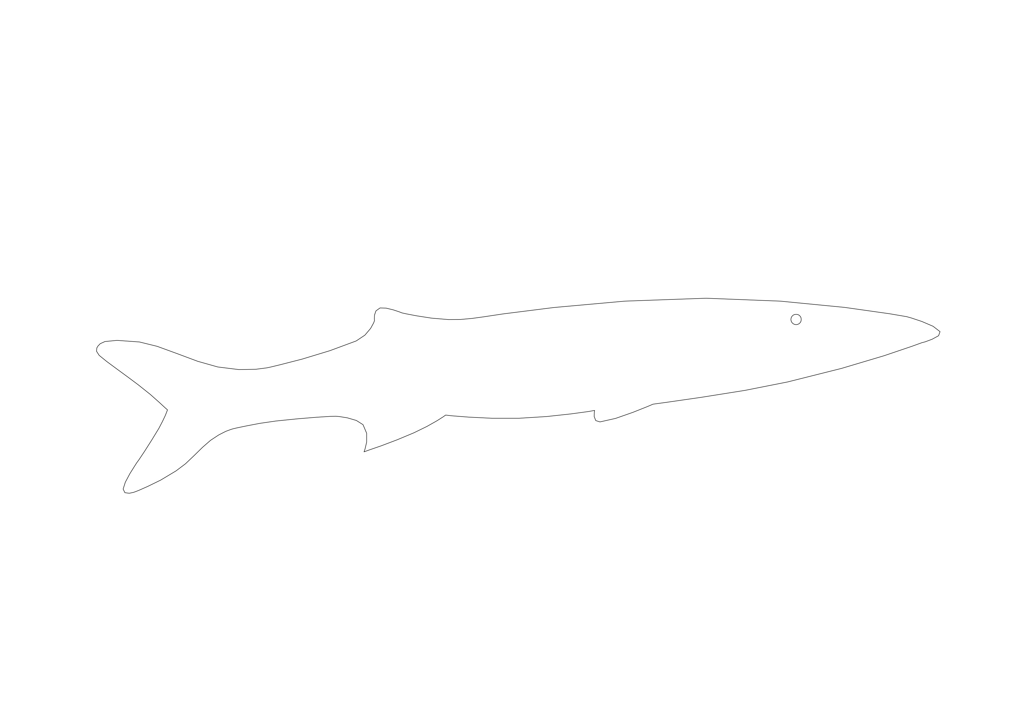 Free Fish CAD Block – DWG, DXF, PDF Format