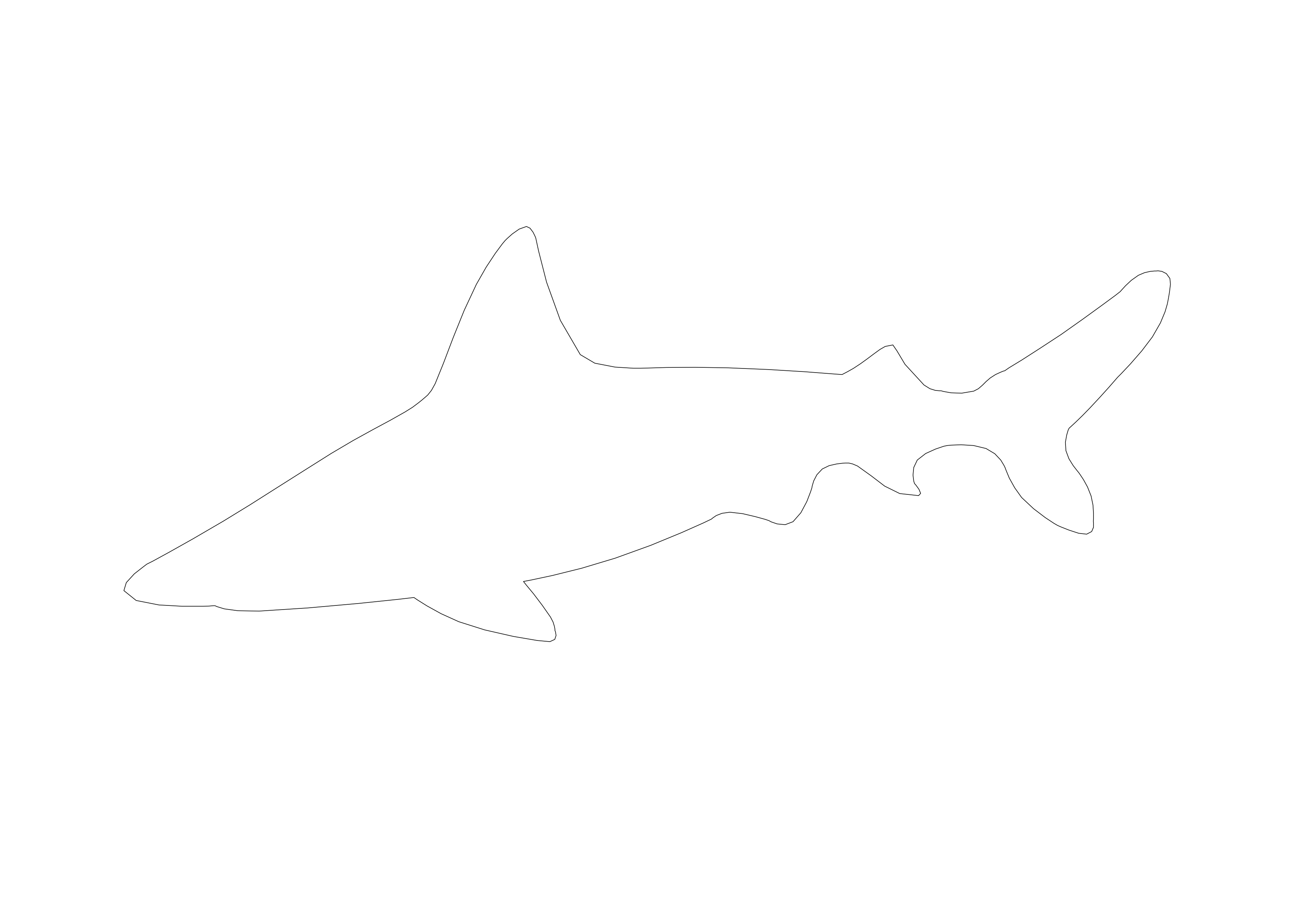 Free Shark CAD Block – DWG, DXF, PDF Format